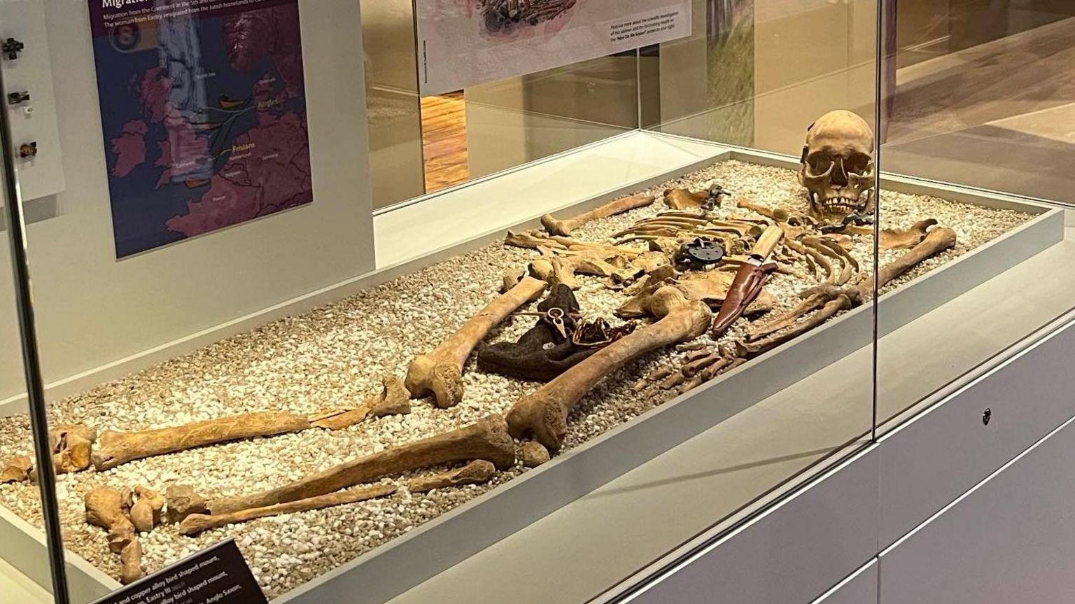 A skeleton in an exhibition case