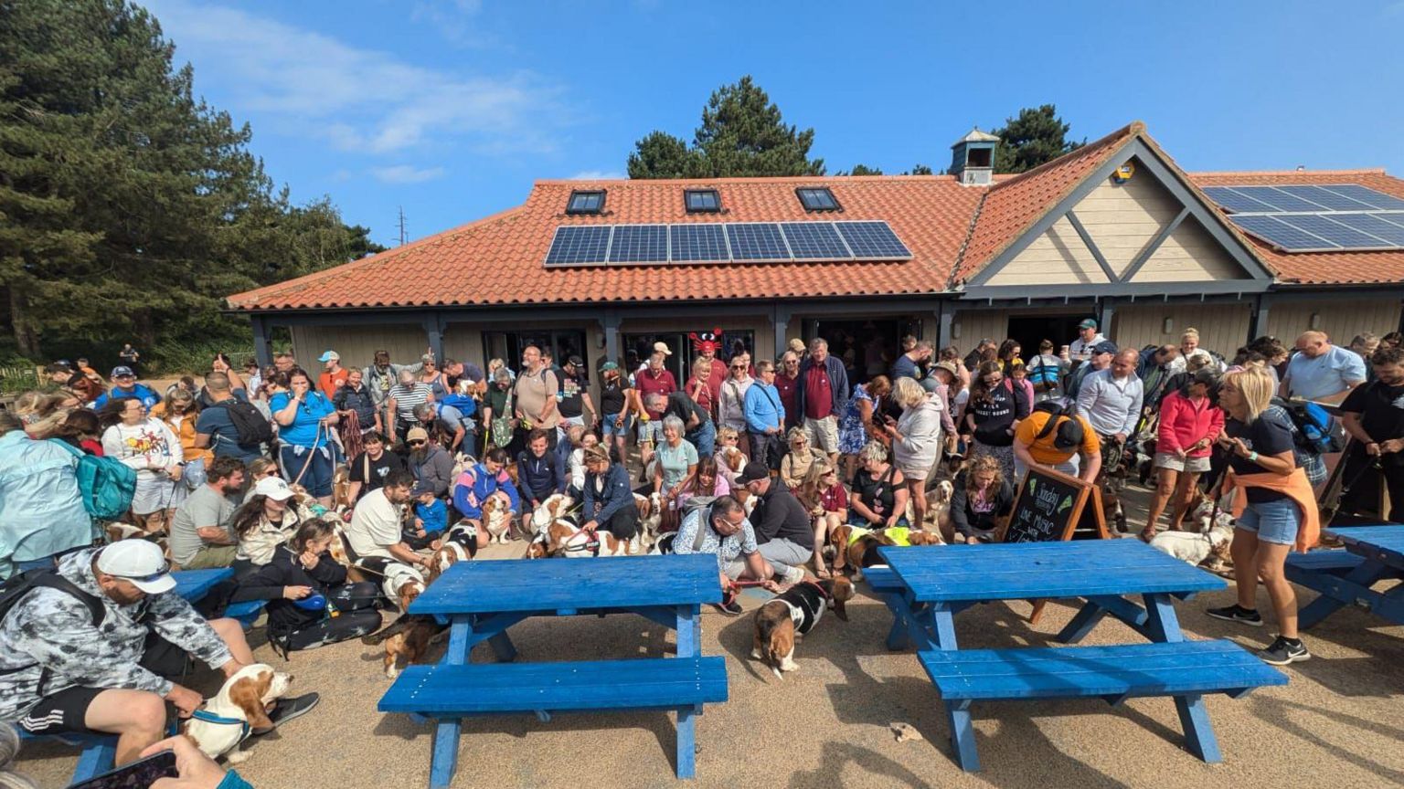 Large group of people and their dogs gathered outside a building and around blue picnic tables