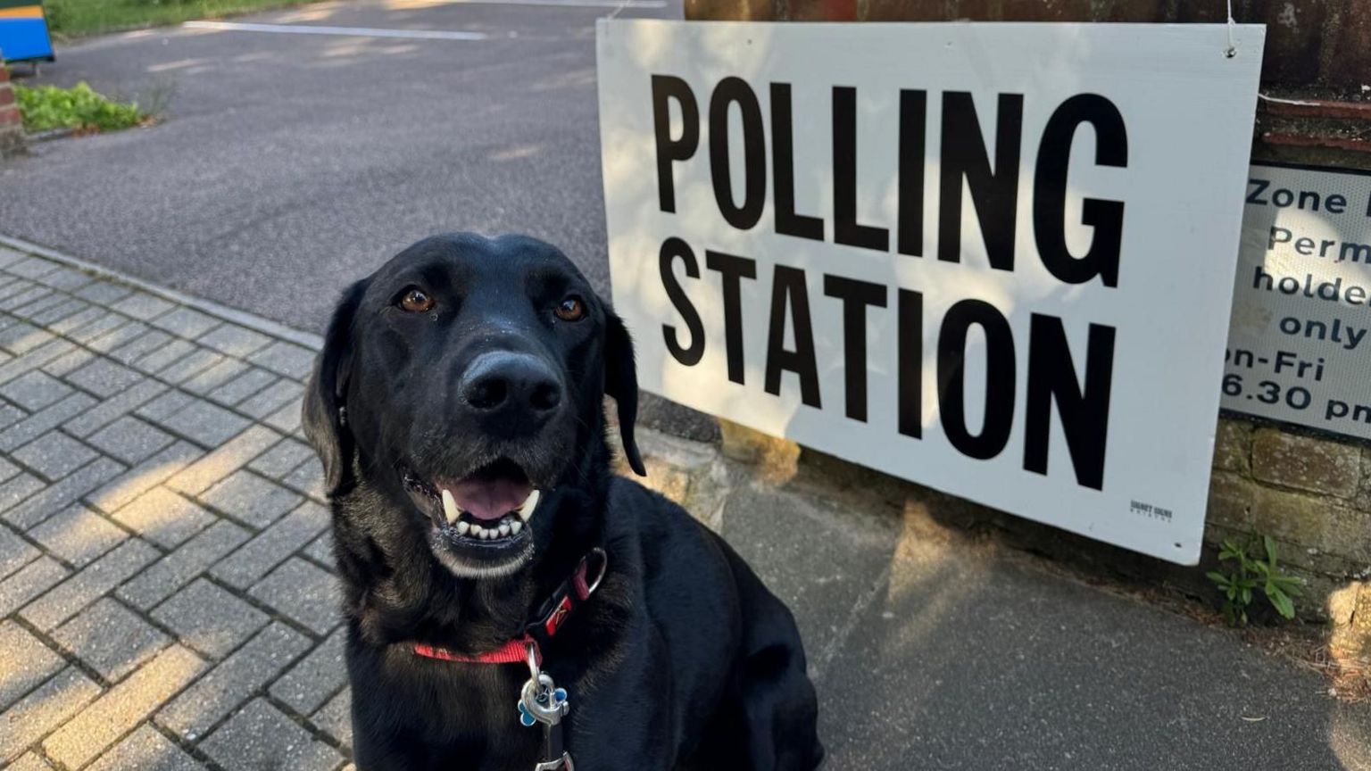 A black dog sits by a polling station sign