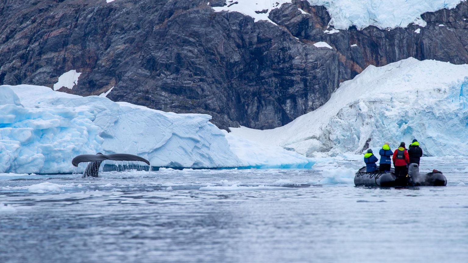 Scientists in a small boat approach a humpback whale in Antarctica