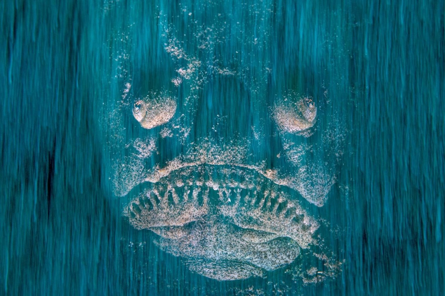 a Mediterranean stargazer peering through the sandy floor in coastal waters