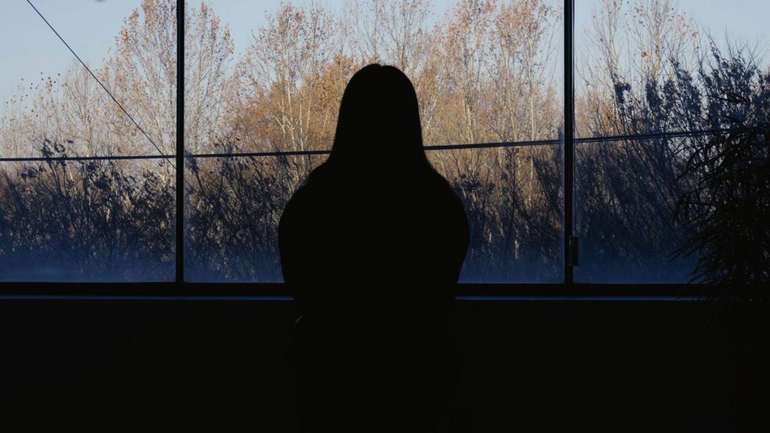一名女子凝视窗外的剪影,背景为树木与绿意。