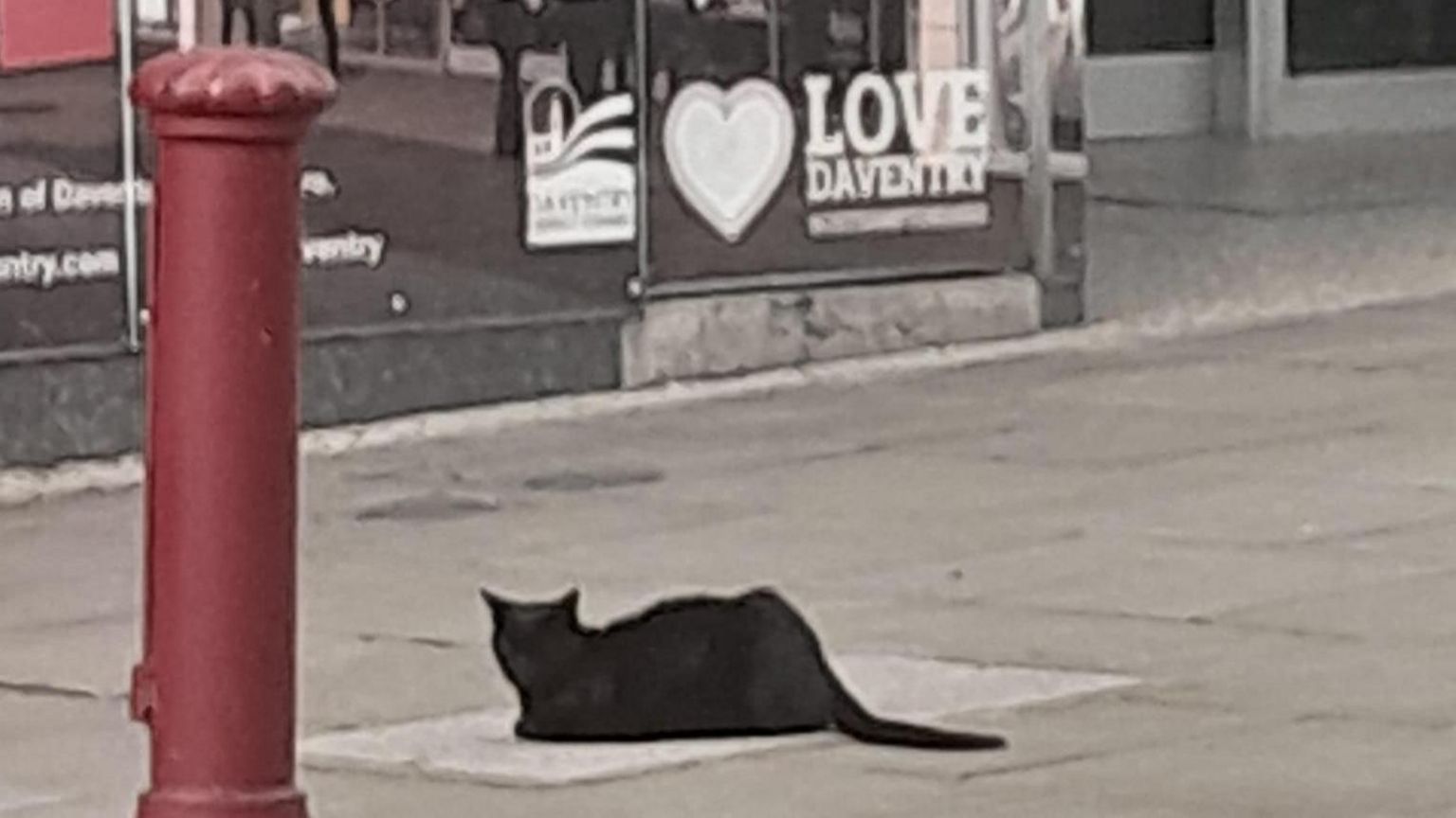 Salem lies before a red Post Box in a street