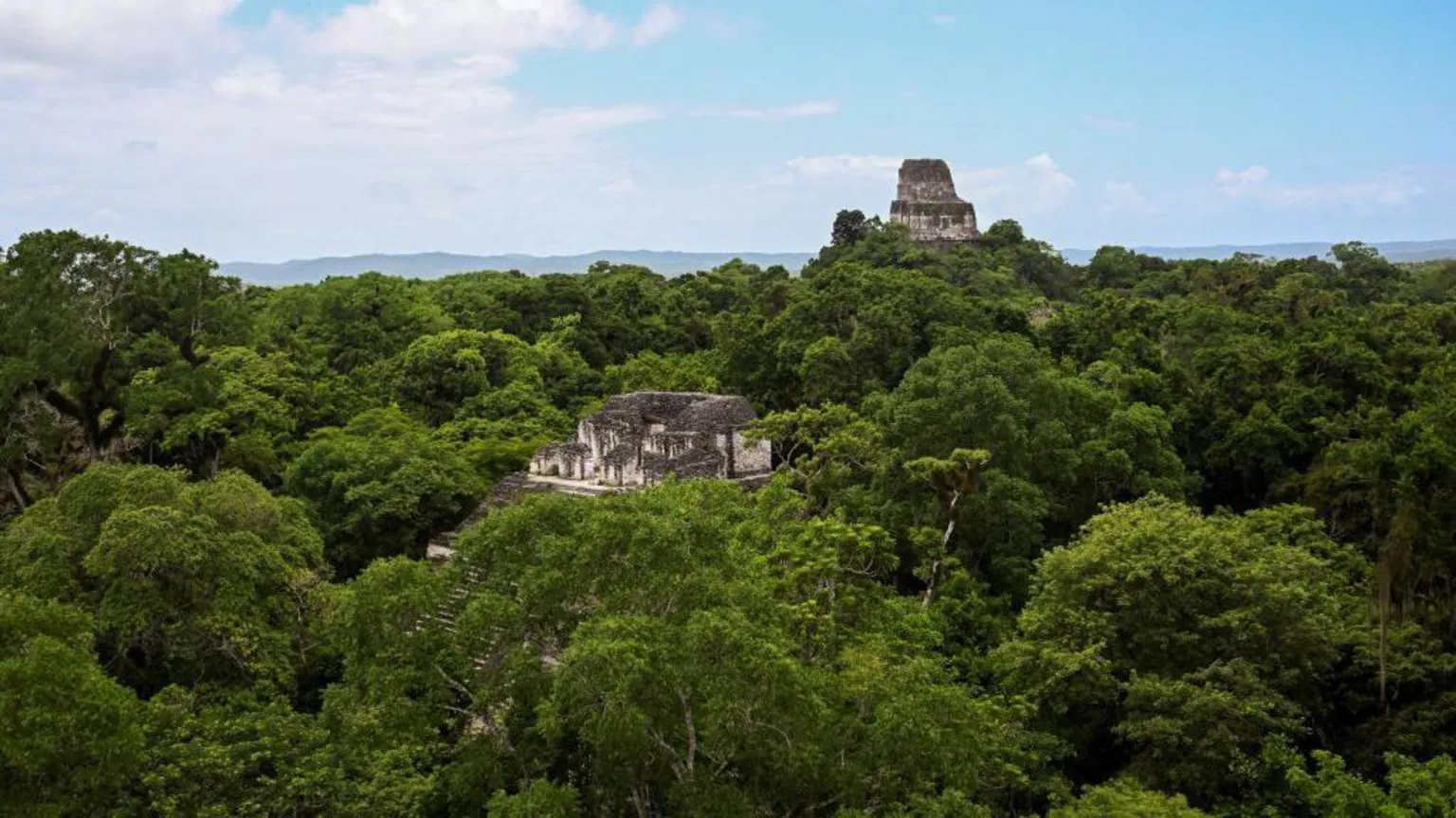 Skeleton in Guatemalan jungle likely US birdwatcher missing since 2023