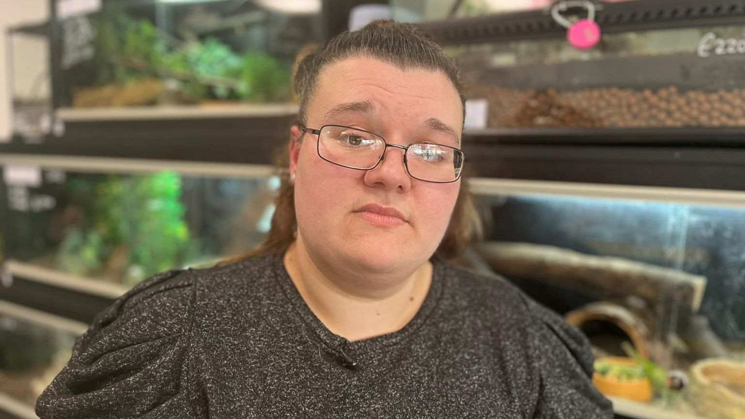 Appeal after gargoyle gecko stolen from exotic pet shop in Hull BBC News