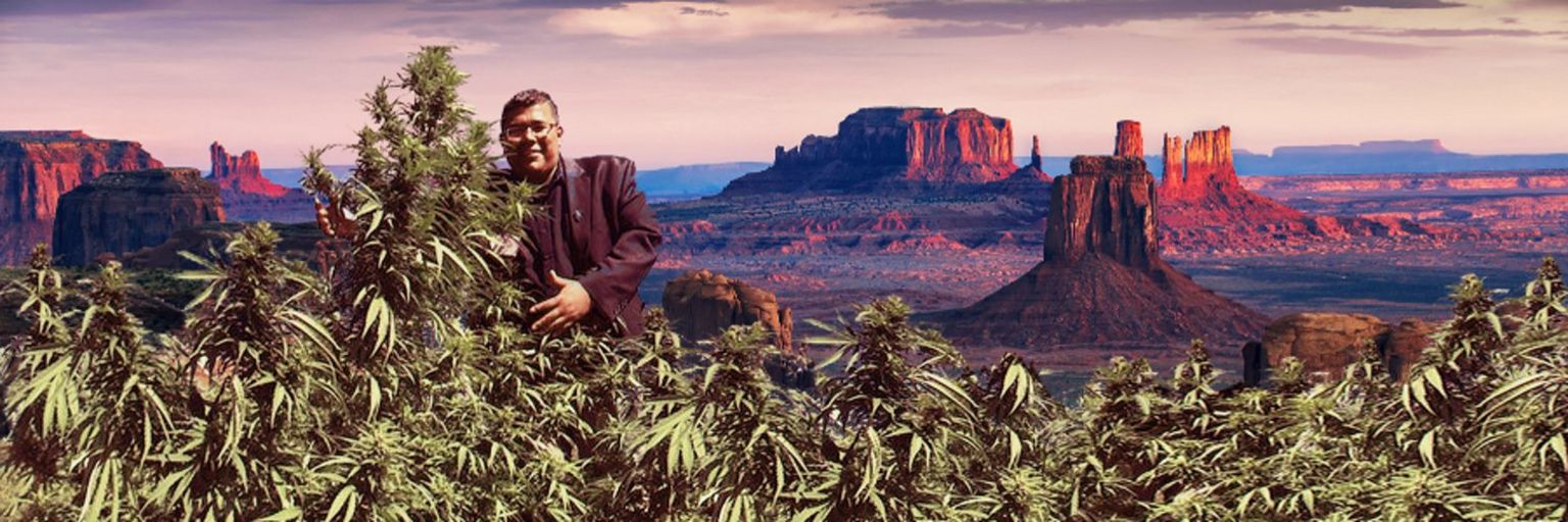 Dineh Benally, the former San Juan Tribal Farm Board president, poses with cannabis plants