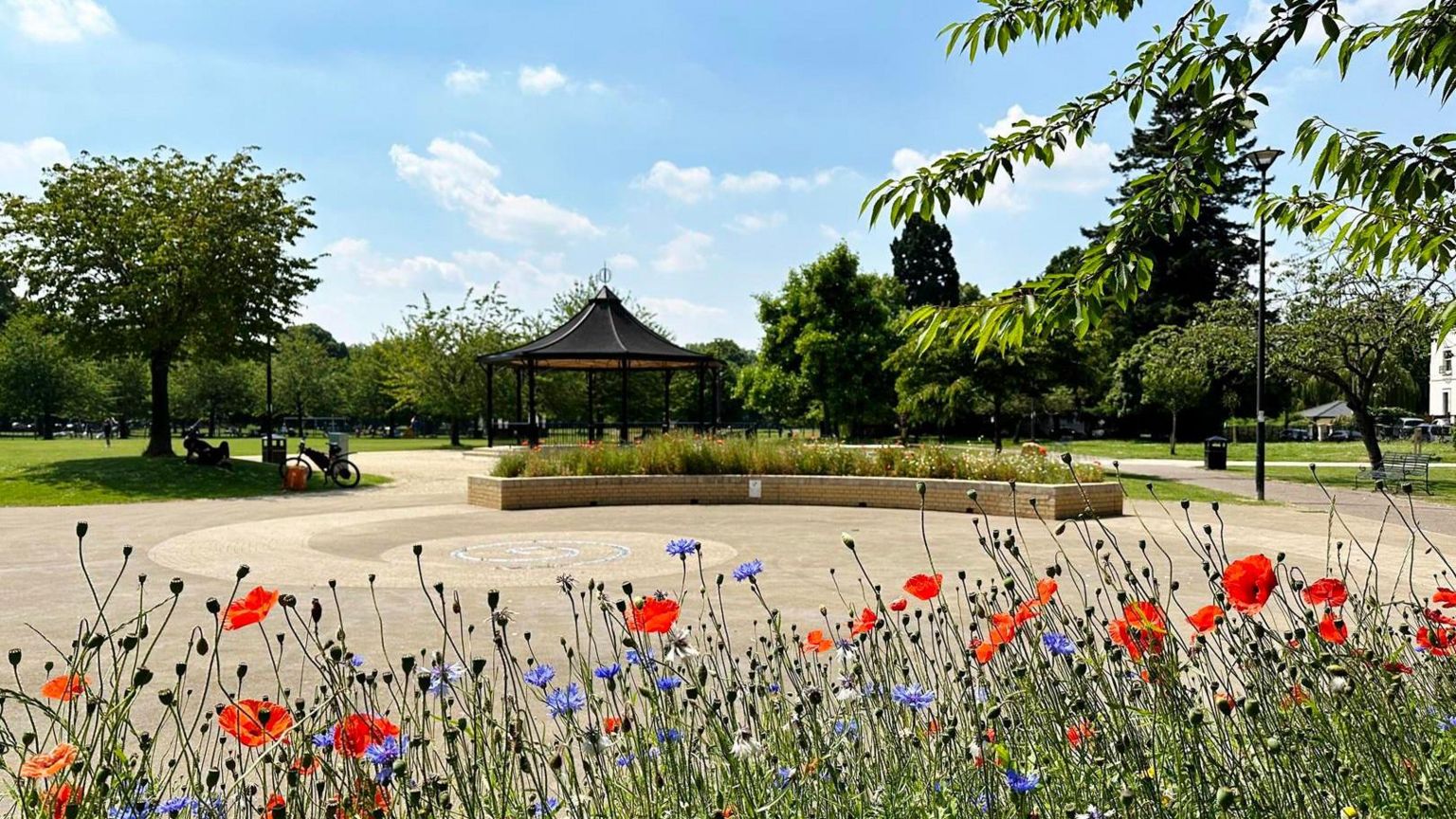 Gloucester Park. Wild flowers which are red and purple can be seen at the bottom of the frame. In the distance, there is a canopy, a path and lots of trees and green space. 