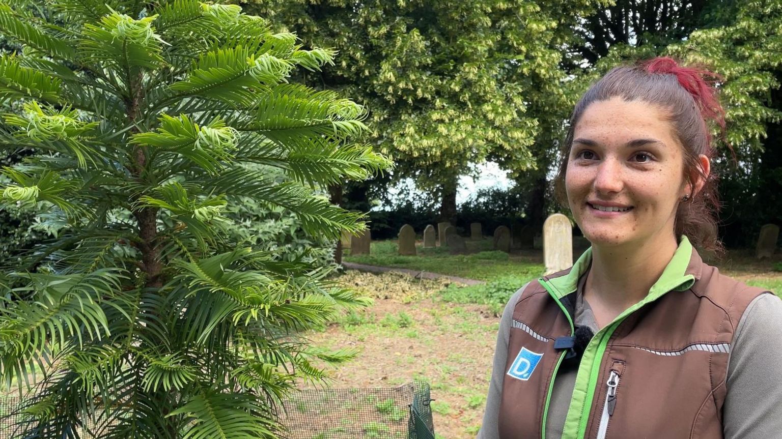 Eleanor Stevenson and Wollemi pine