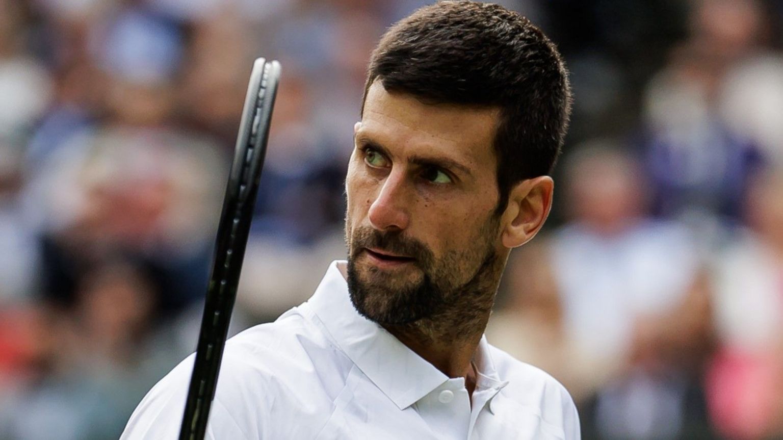 Novak Djokovic celebrates a point in the Wimbledon final in 2023