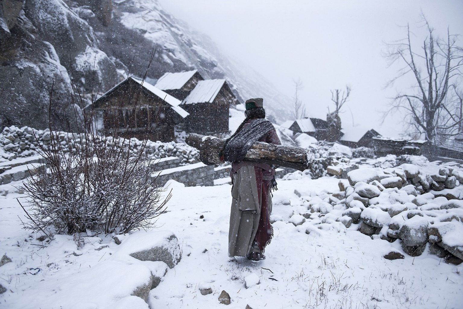 A women carries wood in Shimla, Himachal Pradesh, India.