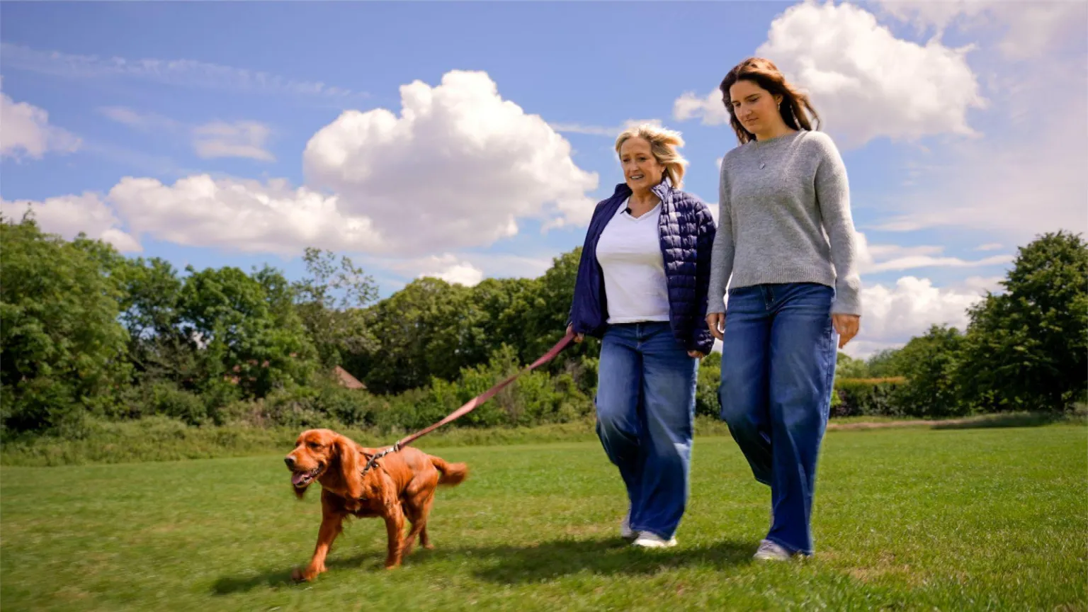 Two people walking across a wide, open grassy field under a bright blue sky filled with large white clouds. One person is holding the lead of a brown dog, which is walking slightly ahead with its tongue out and tail raised. Both individuals are dressed casually in long trousers and light layers, suggesting mild outdoor weather conditions. The background features a line of green trees and shrubs, creating a natural and peaceful setting.