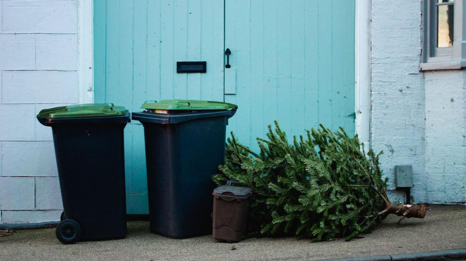 Christmas tree next to rubbish bin