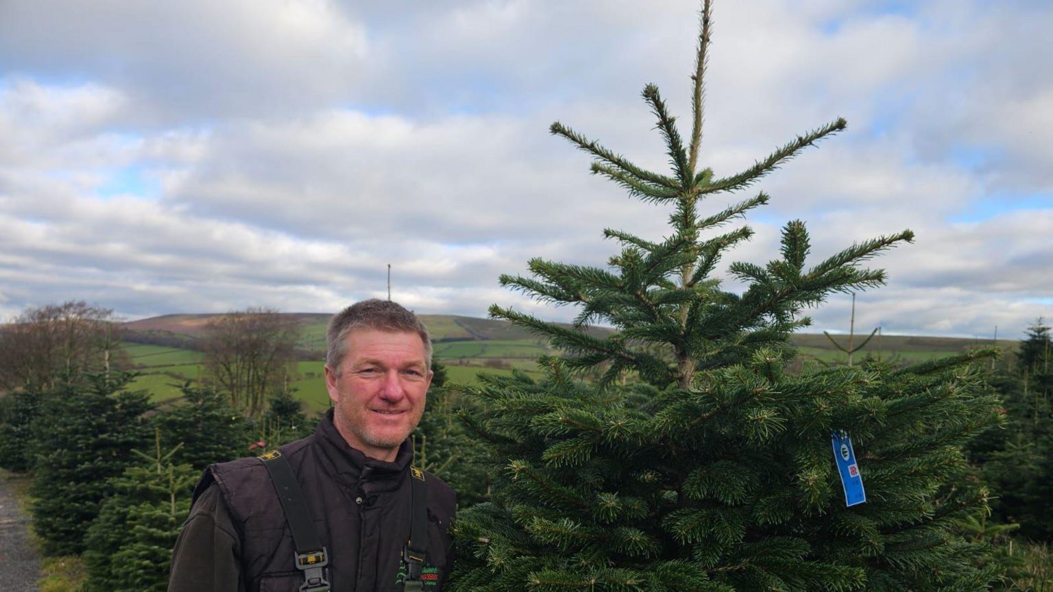 Man standing in Christmas tree farm next to large Christmas tree with trees behind him