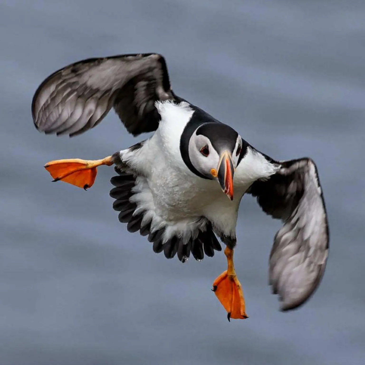 Pictures of Scotland: August 2025