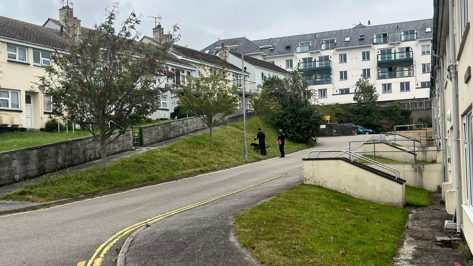 Two police officers and a dog patrolling and carrying out checks on a residential street