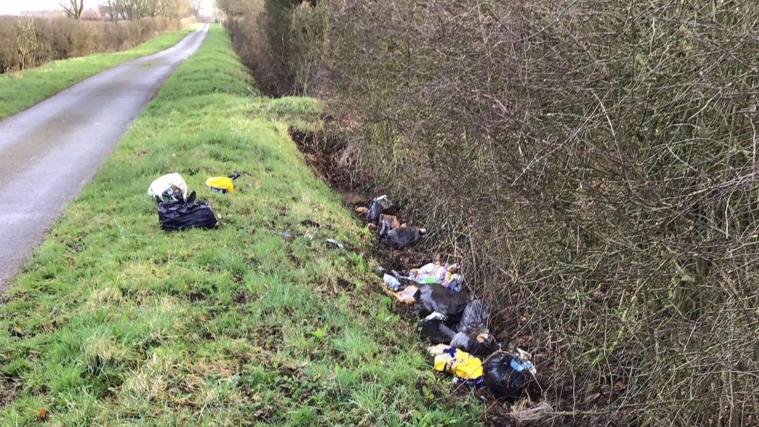 A grass verge and hedge at the side of a road. One black bin liner is on the verge with more rubbish dumped in a ditch alongside.