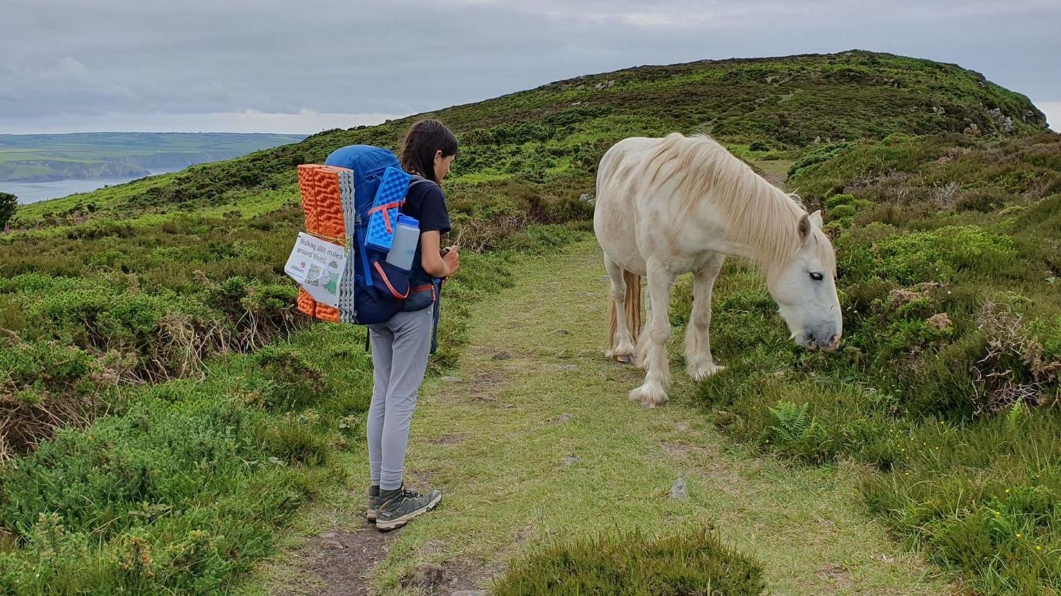 Finn on a path with a wild pony