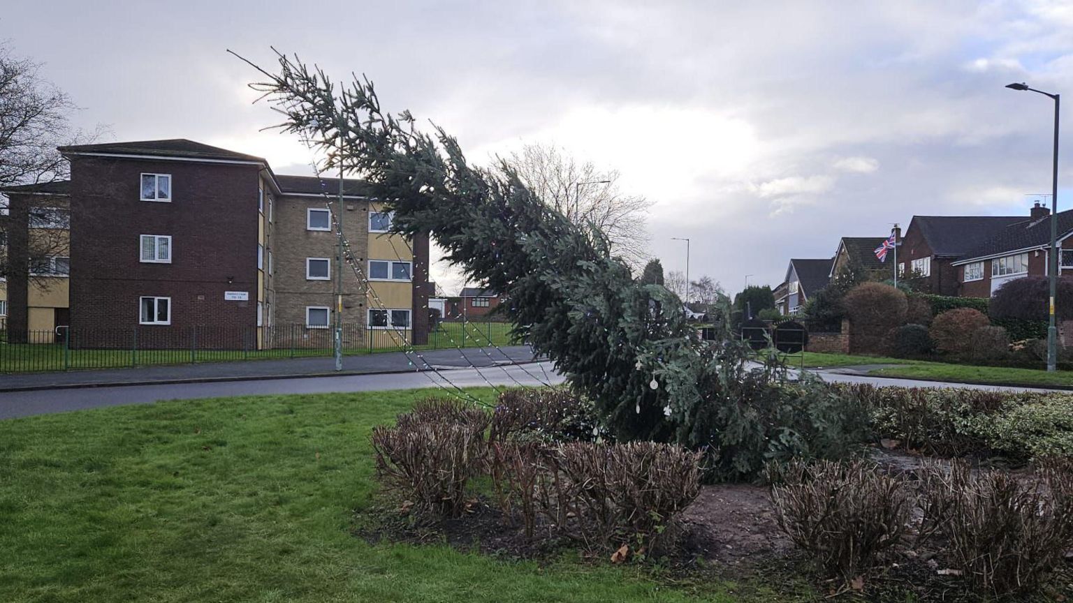 Bloxwich 'leaning Christmas tree' will rise again councillors BBC News