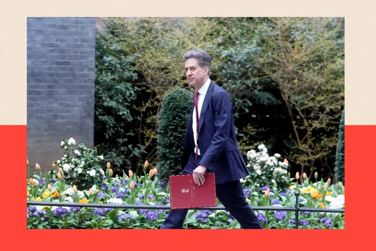 PA Media Ed Miliband  walking in Downing Street, carrying a red briefcase. There are slpring flowers in bloom behind him, including orange tulips.