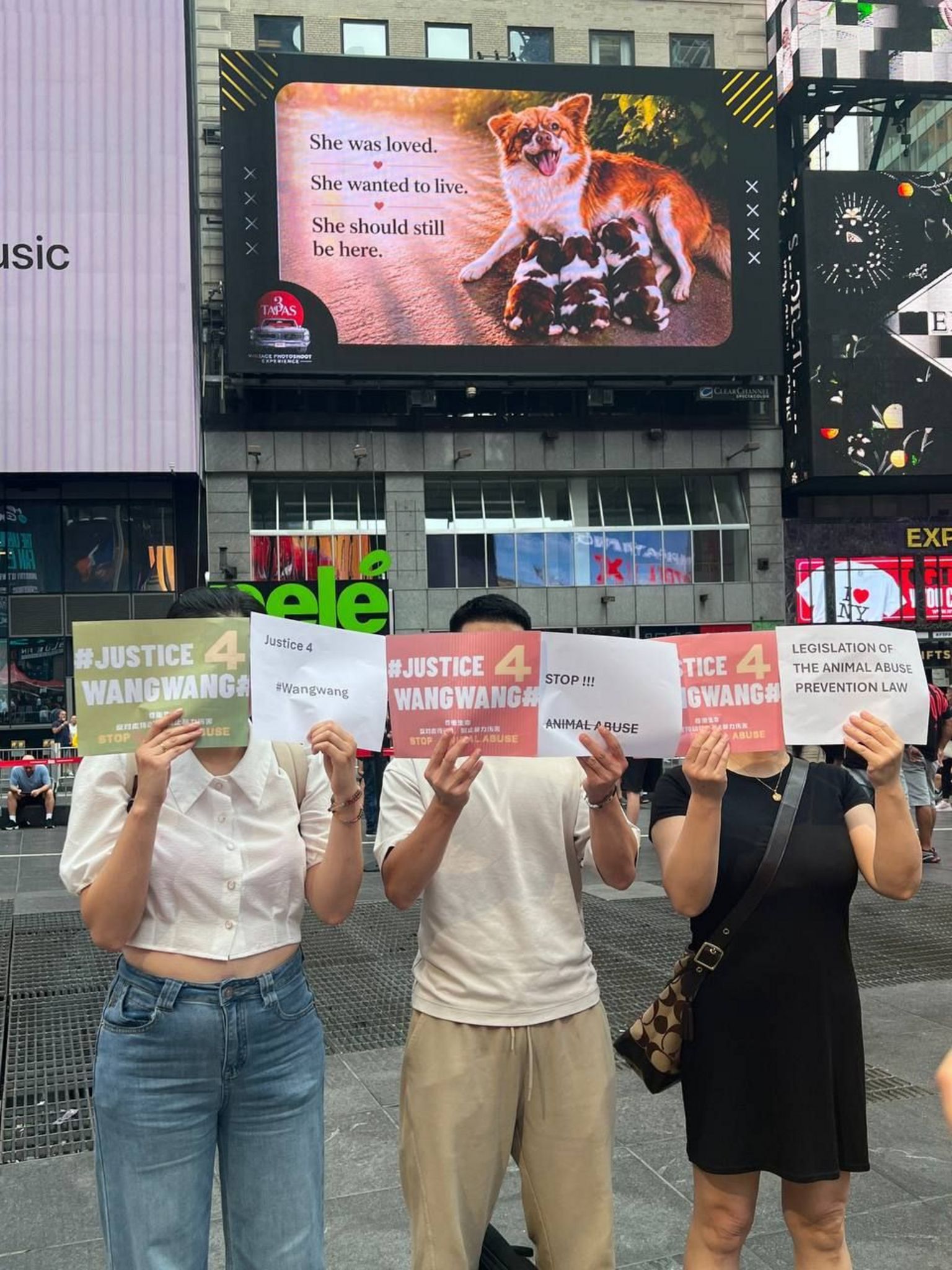 陈小姐在纽约时代广场的屏幕广告前拍照。