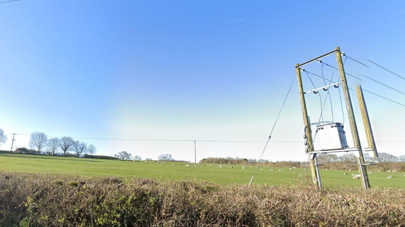 A green grass field with sheep surrounded by brown hedges. Power cables can be seen running across the field. The sky is blue with no clouds.