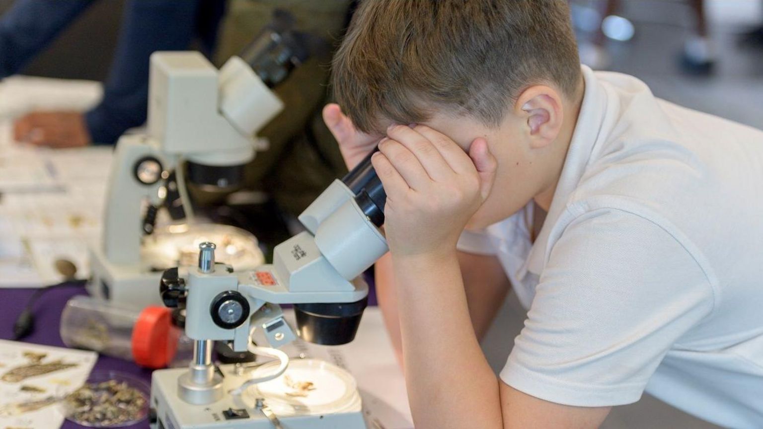 Boy looks through  microscope at a slide