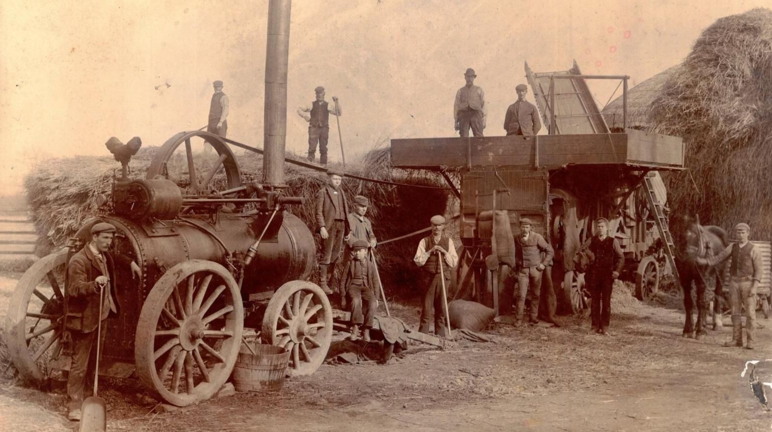 East Riding farm labourers’ early 20th century