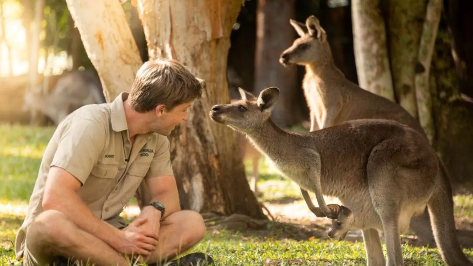 Wales Family Names Australia Zoo Kangaroo 'Cwtch' — image 1