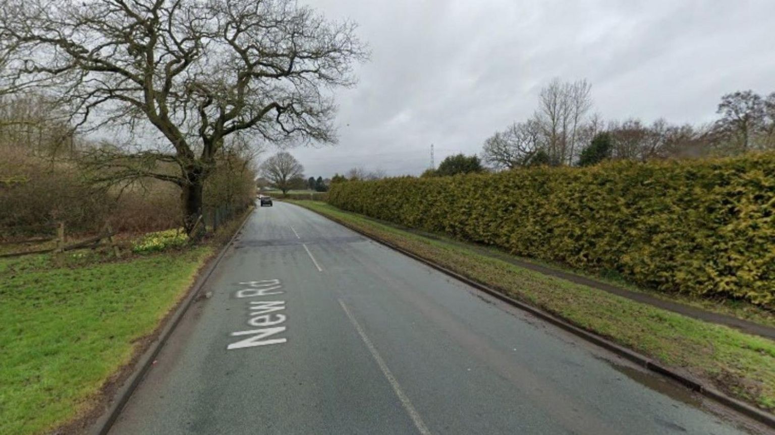 A single lane road with hedgerows to the right and some grass and a tree off to the left side