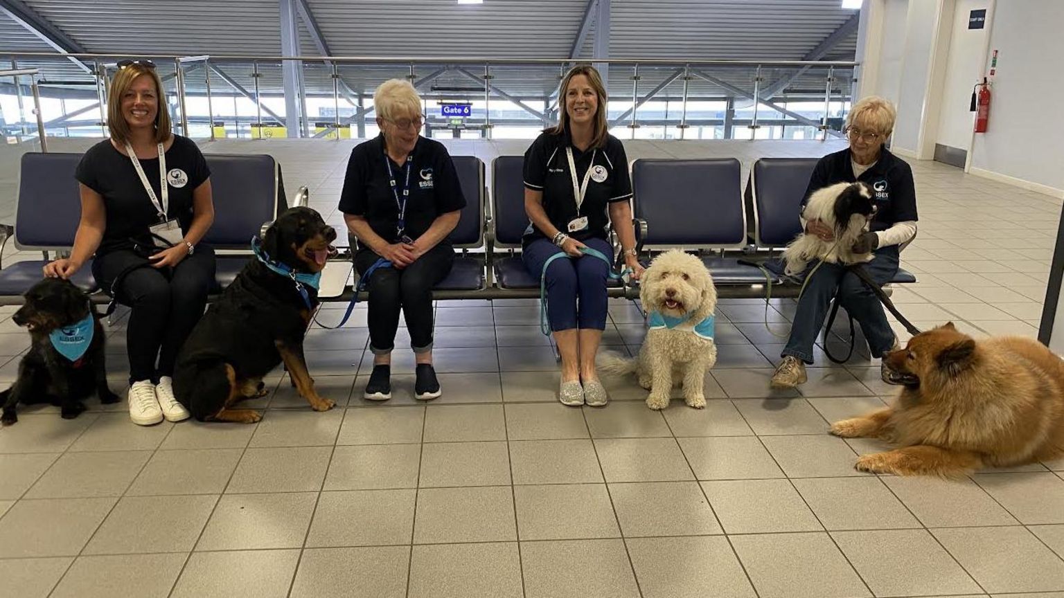Volunteers from Essex Therapy Dogs