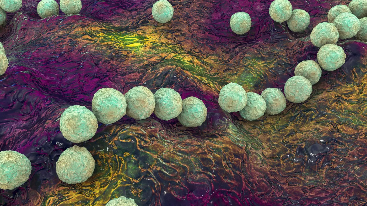 Getty Images A 3D computer illustration of Group-A Streptococcus bacteria, showing what looks like rough light green spheres on a purple and yellow background.