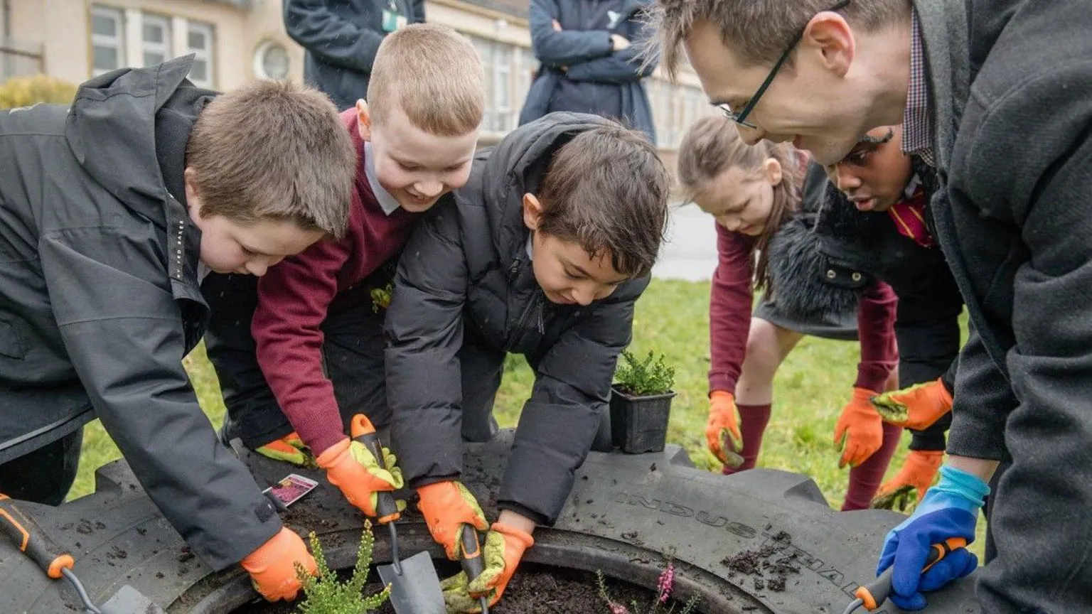 Se crearán espacios silvestres para mariposas en Glasgow