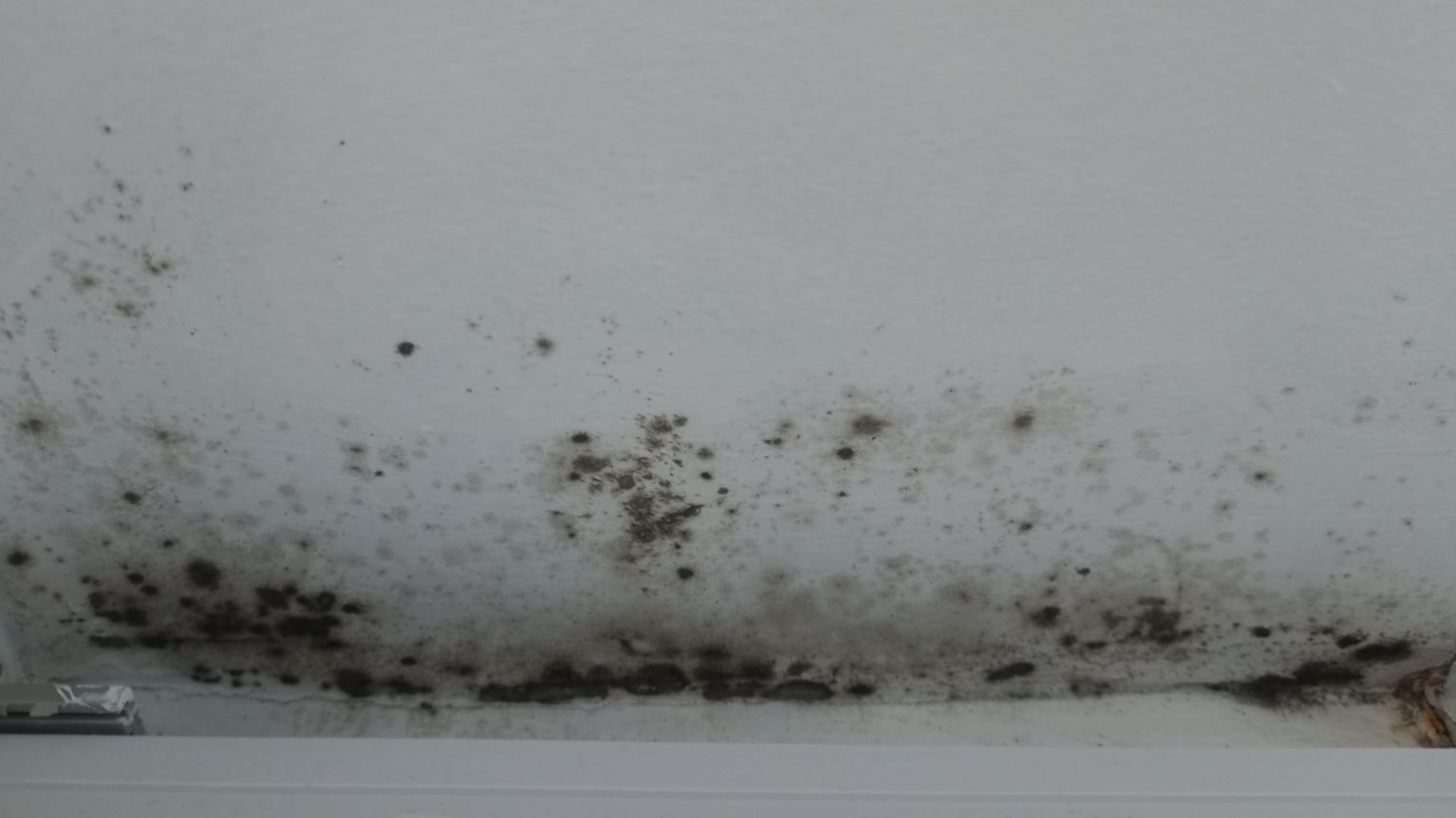 Mould on the walls