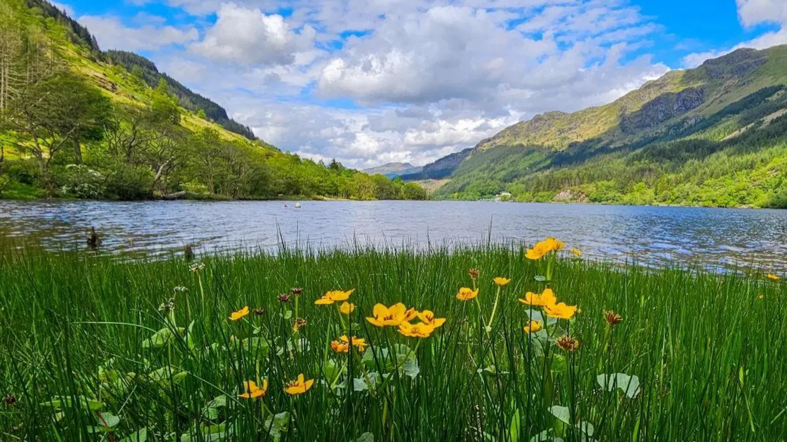 Tus fotos de Escocia: del 22 al 29 de mayo