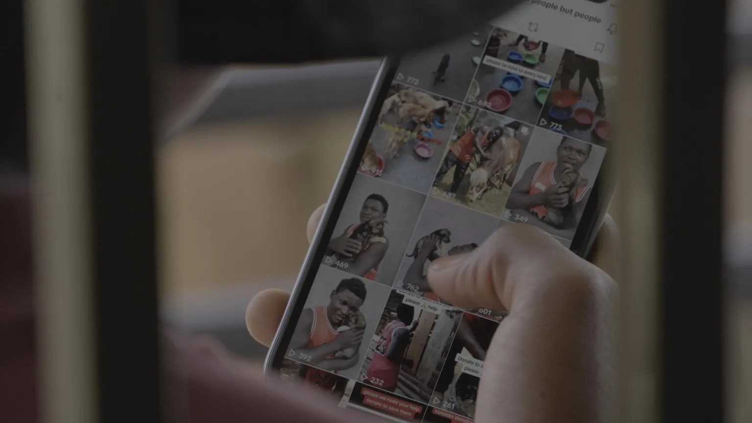 How a Ugandan Town Turned Stray Dogs Into a $730,000 Online Scam Industry — image 4