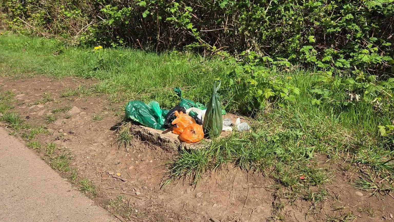 Lee Mason Bags of dog waste where a litter bin used to be in a park in Cardiff.