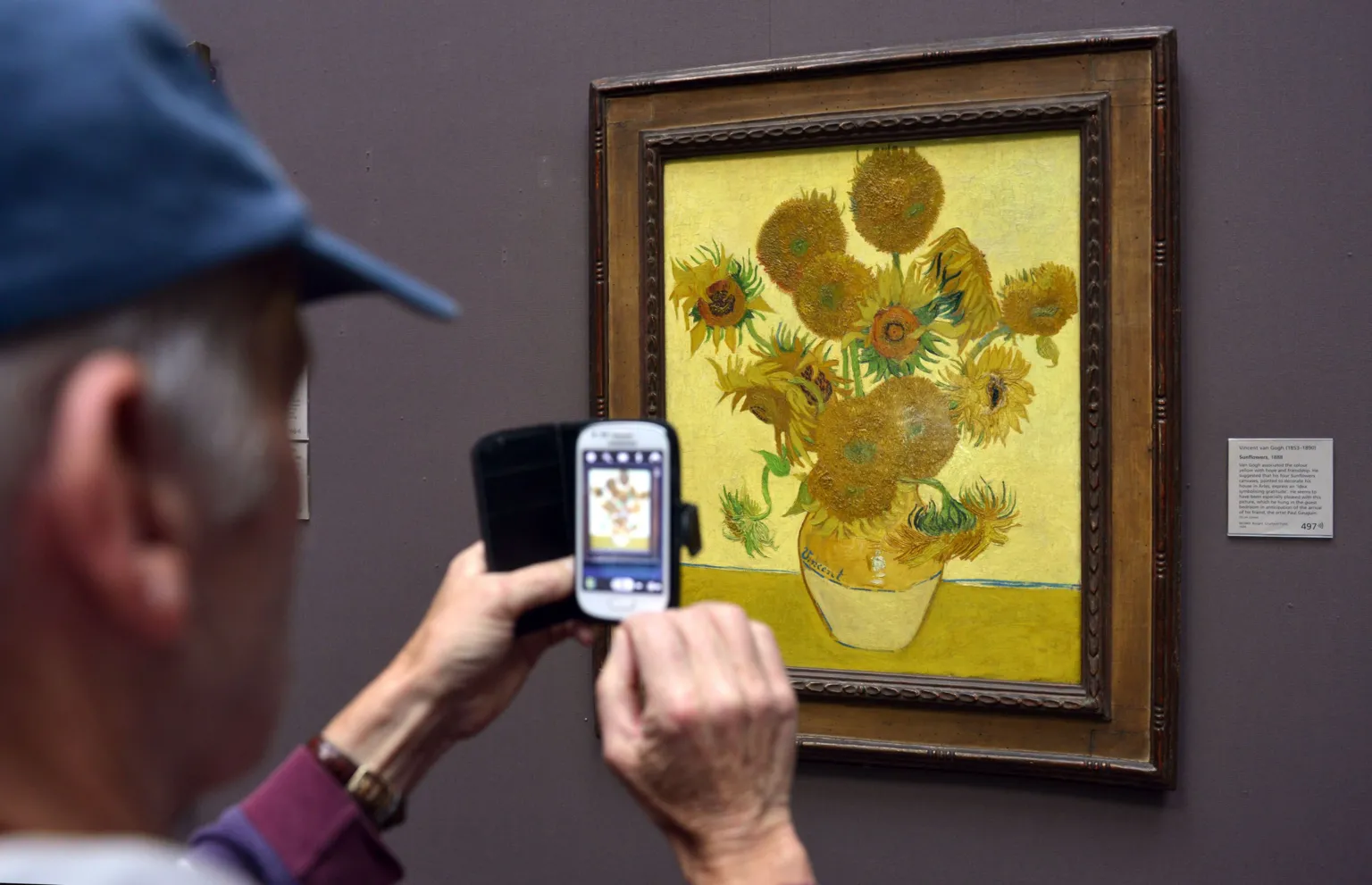 A museum visitor photographs Van Gogh's famous Sunflowers painting with their phone. The artwork displays vibrant yellow sunflowers in a vase against a yellow background, housed in an ornate frame. A descriptive plaque is visible beside the painting on the gray museum wall.