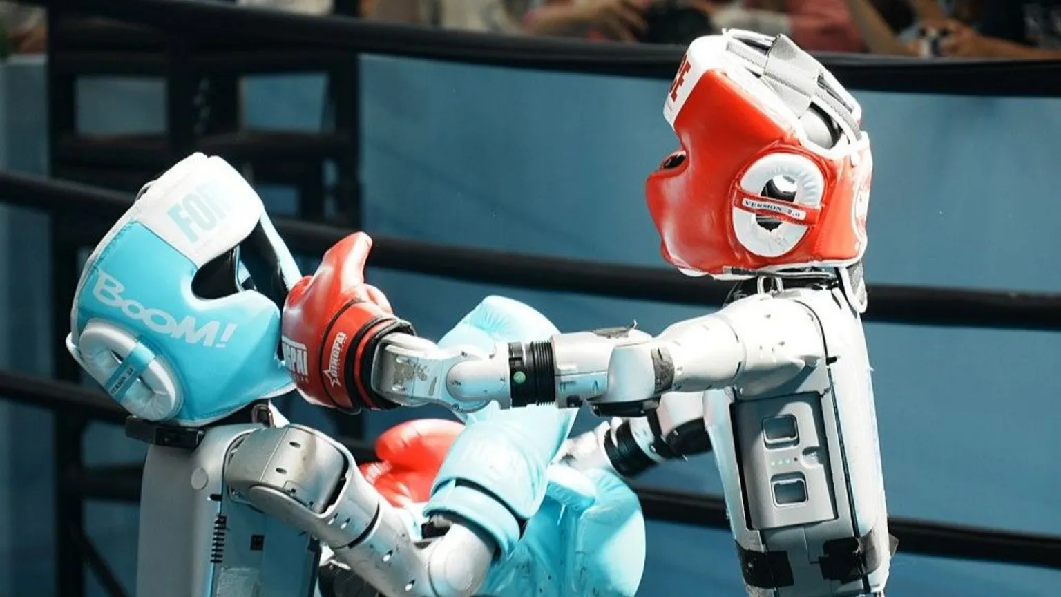 CFOTO/Future Publishing via Getty Images Two robots boxing in a ring. One has a light blue head protector with matching gloves, the other wears red.