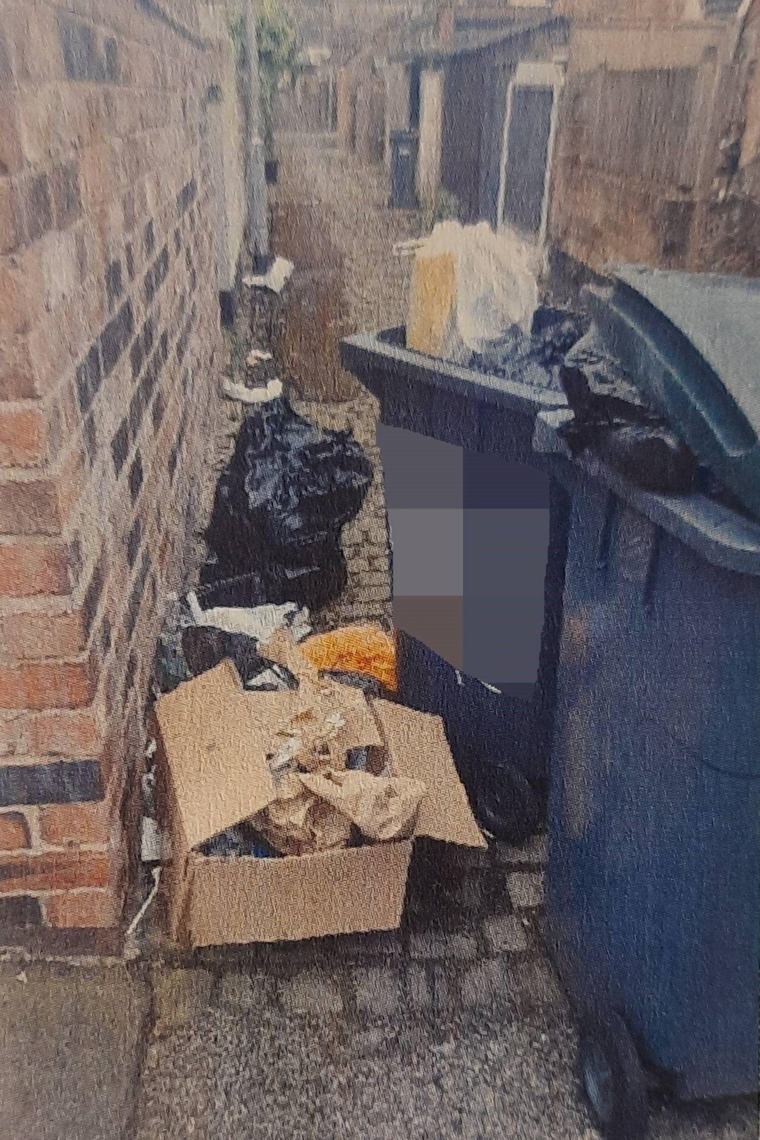 The cardboard box which Mr Pinter left out for collection. The box has paper inside it and is beside two wheelie bins which have bags of rubbish bulging out and are in an alley with a bag of rubbish behind the box