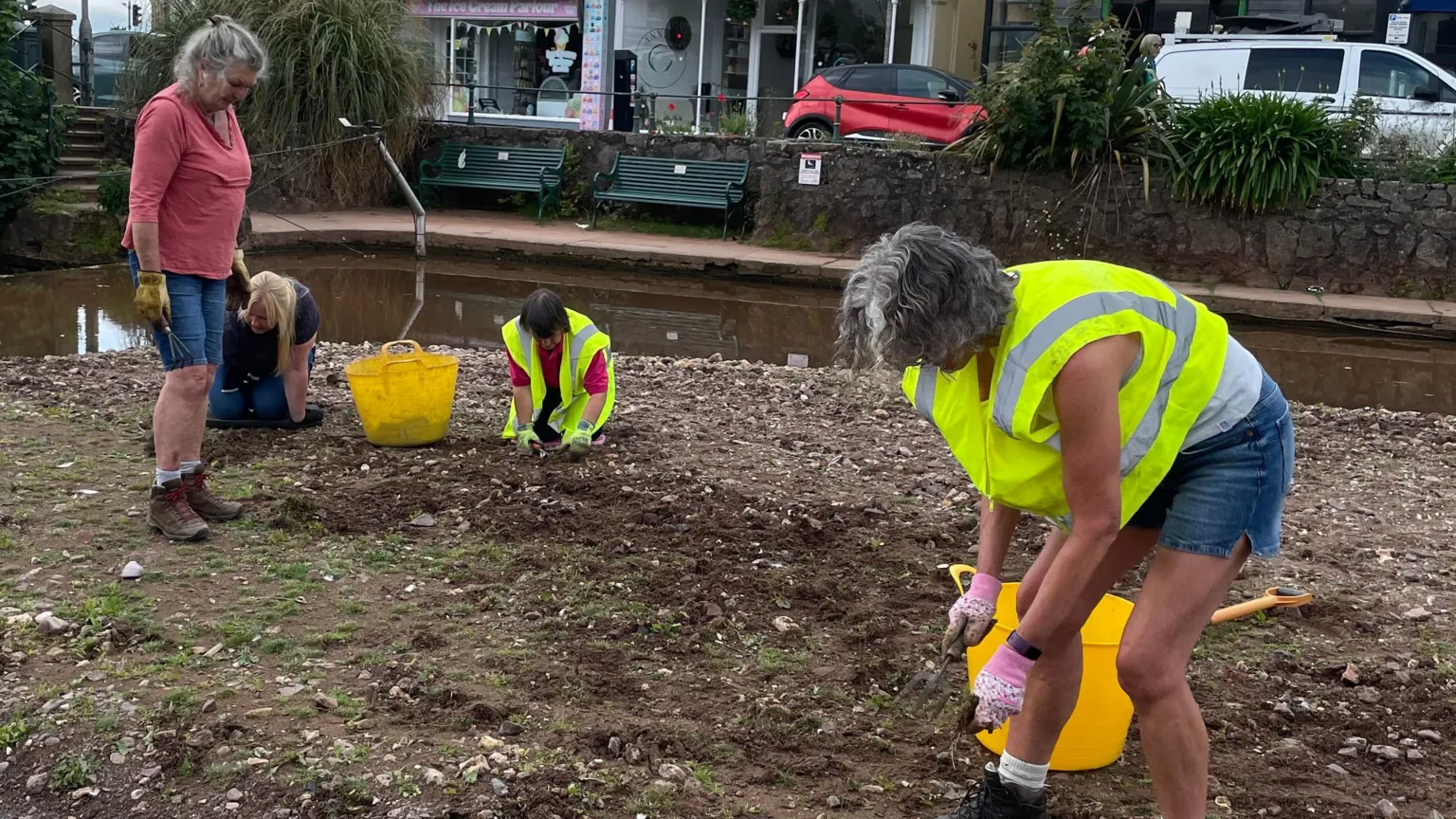 Four female volunteers work to pull weeds from the soil by a brook.