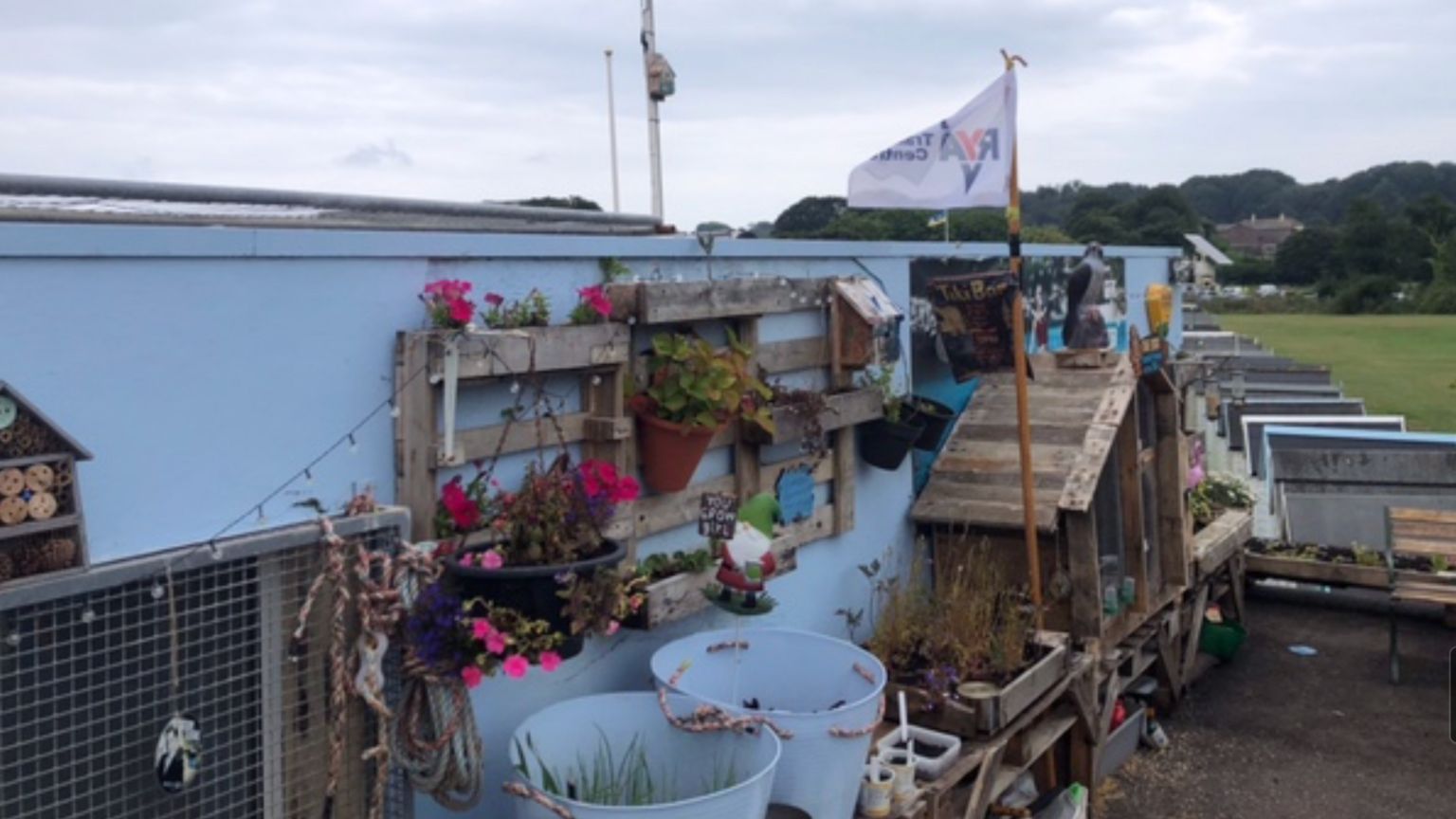 Roof of Broadsands Beach Watersports Centre in Paignton, featuring some plant pots and trellises attached to a wall