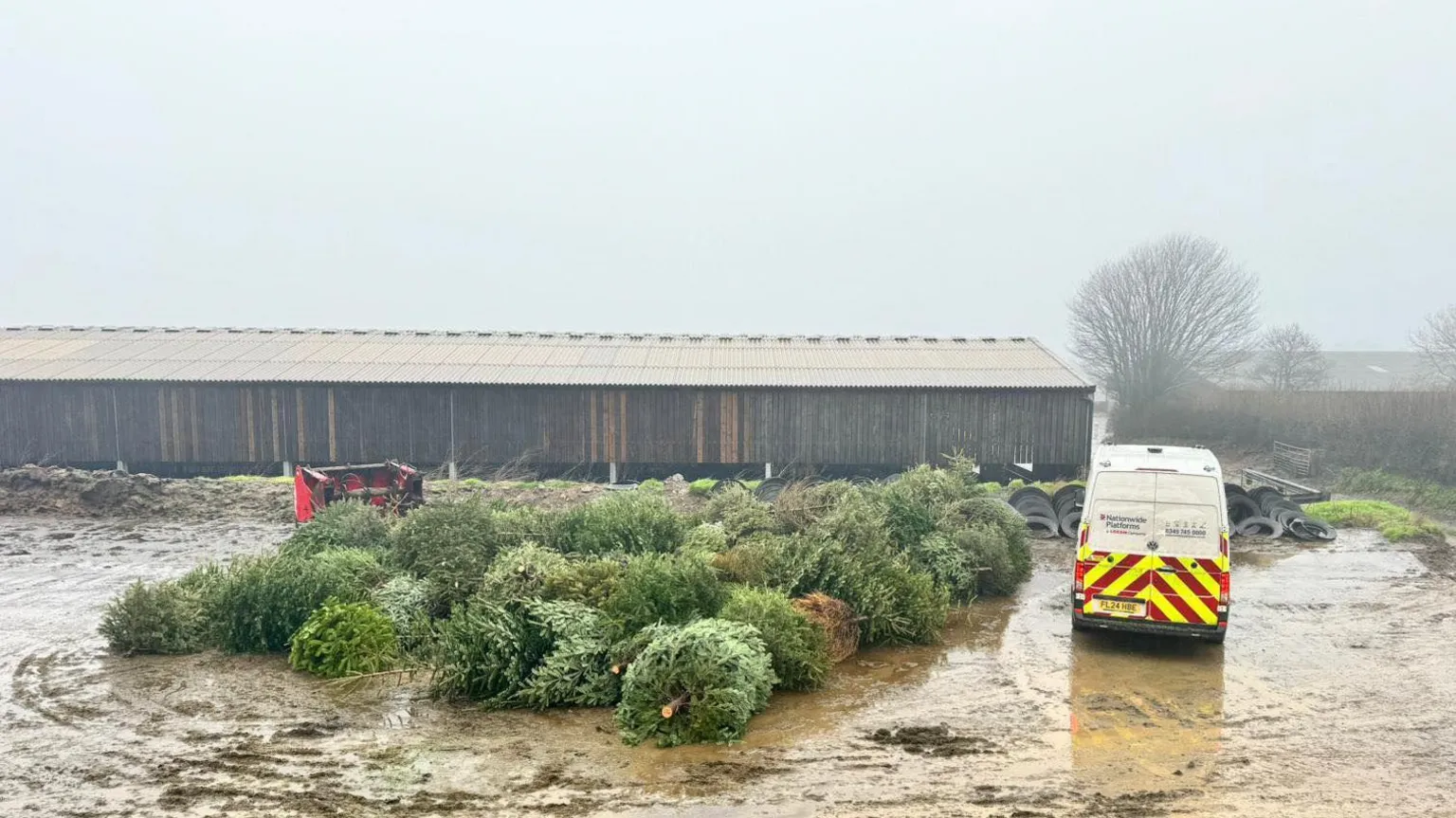 El equipo de cricket recolecta árboles de Navidad para el club.