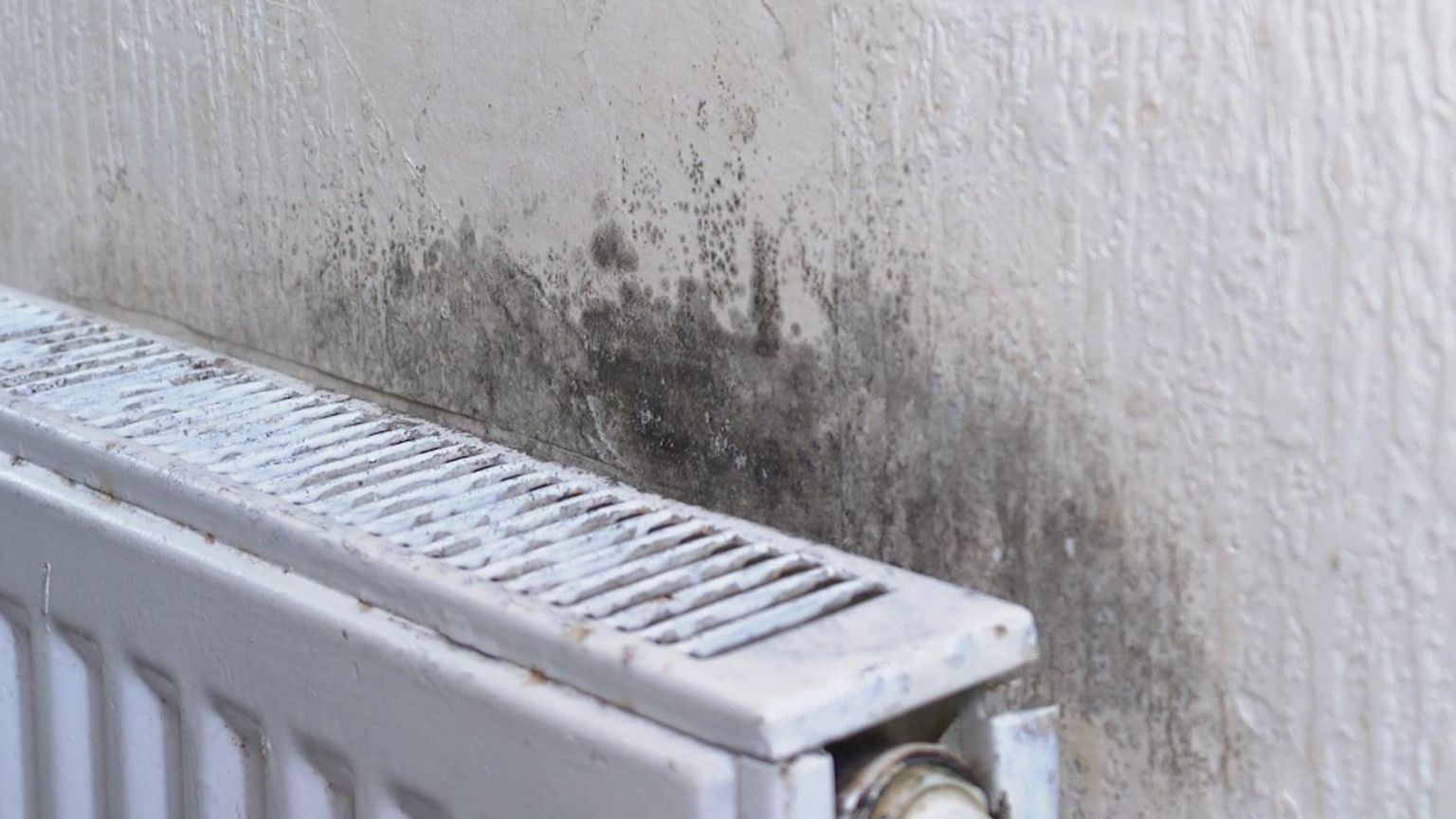 Damp behind a radiator