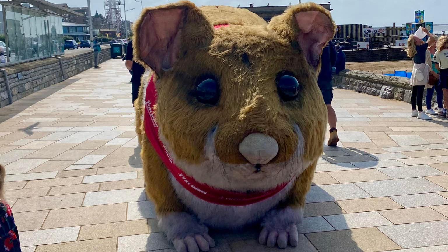 A large hamster puppet being pulled along a seafront in the sun