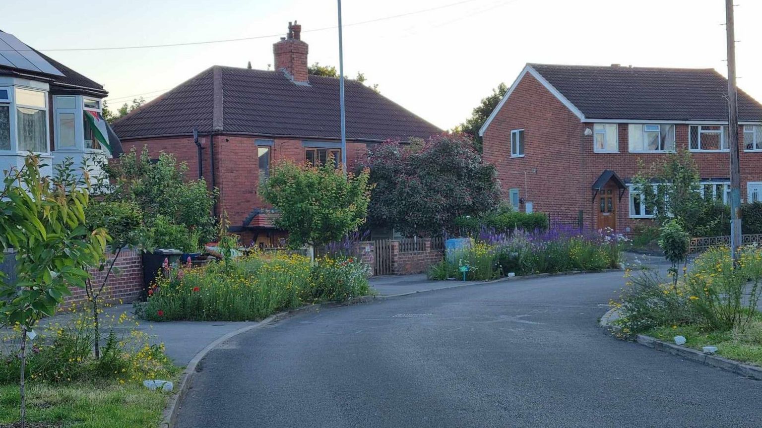 A street where the verges are packed with colourful flowers and trees rather than grass