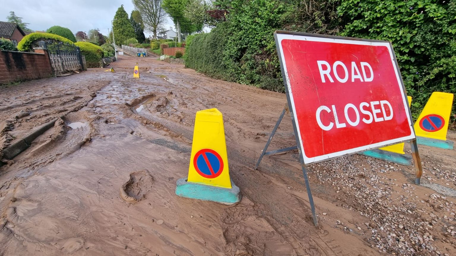 Burrow Lane, in Newton Poppleford