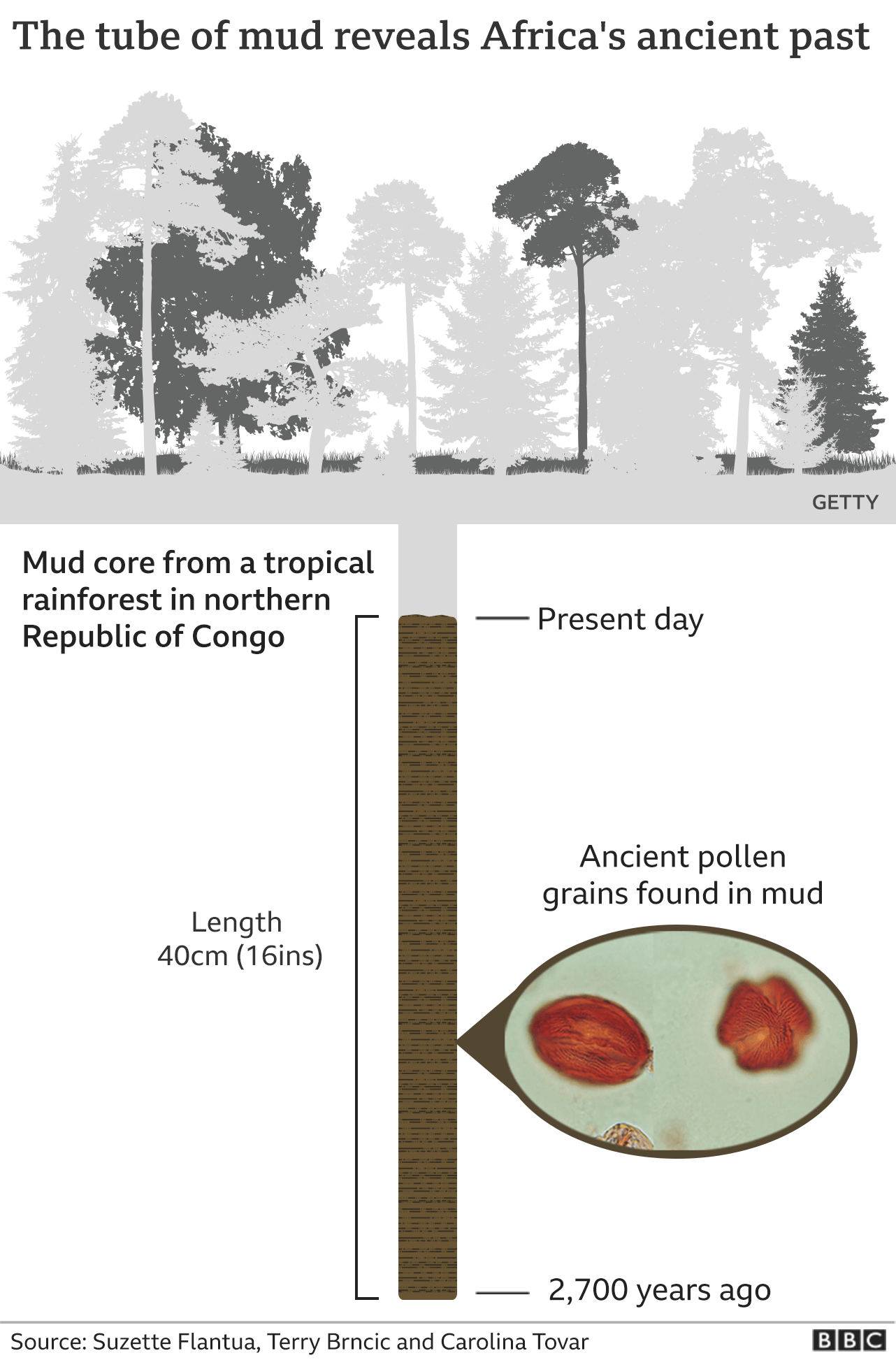 Graphic: How a tube of mud revealed Africa's ancient past