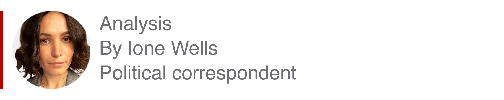 Analysis box by Ione Wells, political correspondent