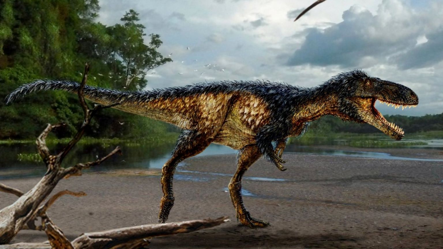 Timurlengia - a newly discovered tyrannosaur