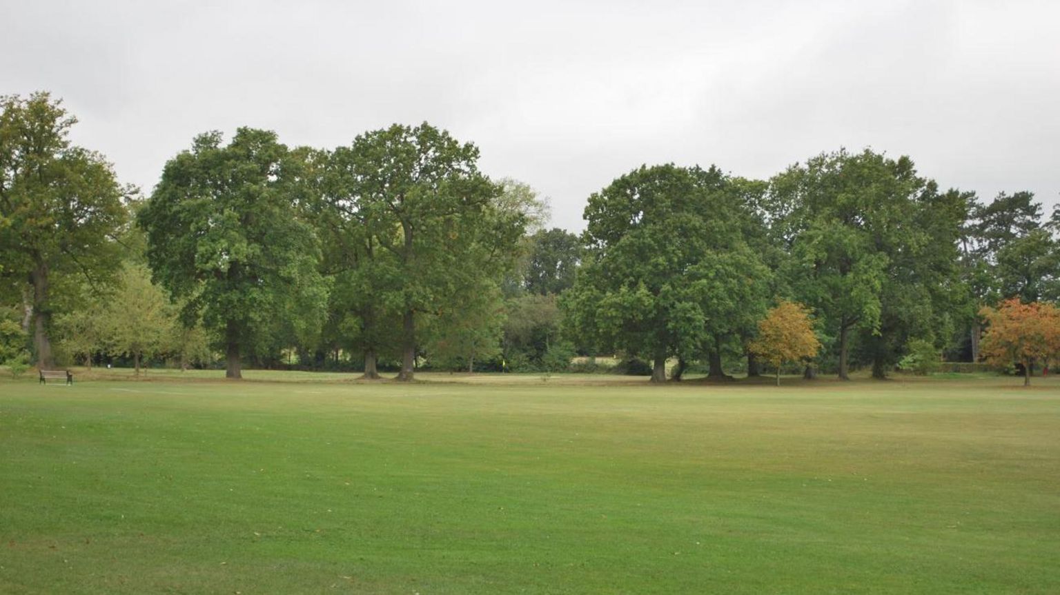 Crawley Improvements to town park announced BBC News